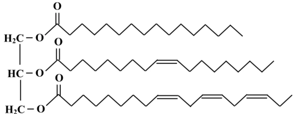 Figure 5 : Structure des triglycérides (adapté de (Soult et al., 2019))  Les phospholipides (PL) sont des lipides comportant un groupement phosphate