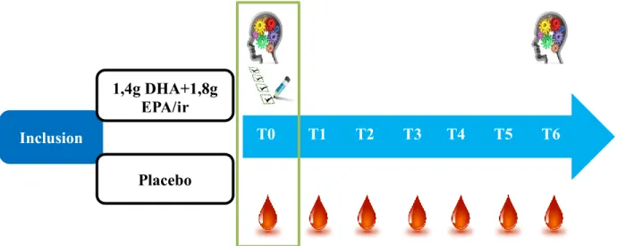 Figure 8 : Schéma de déroulement de l’ECR. L’encadré en vert signifie que, seules les  données au T0 ont été analysées dans la présente étude transversale