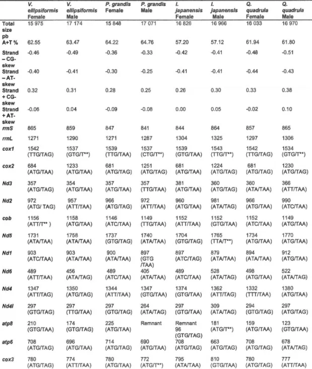 Table  3.2.  Main  structural  features  of  the  fe male- and  male-transmitted  mitochondrial  genomes  of  Venustaconcha  e!lipsiformis,  Pyganodon  grandis ,  lnversidens japanensis  and  Quadrula quadrula