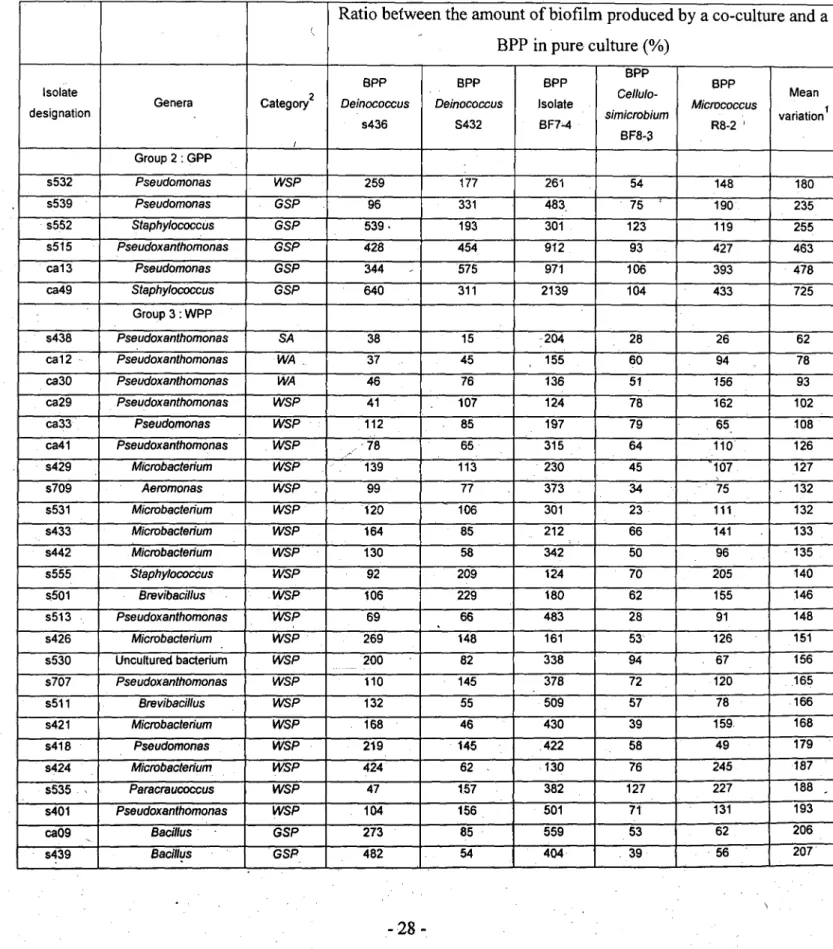 Table 2: Biofilm production during the interaction between paper isolates of groups 2, 3 or  4 and the BPP