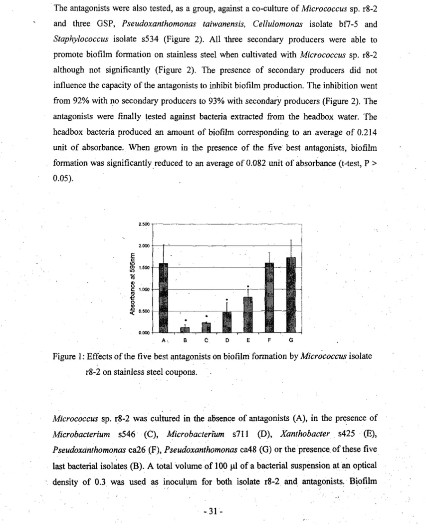 Figure 1: Effects of the five best antagonists on biofilm formation by Micrococcus isolate  r8-2 on stainless steel coupons