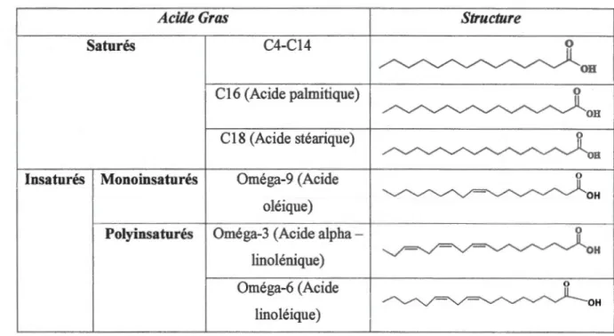 Tableau  1.1  Longueur des chaînes des acides gras naturels 