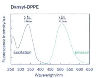 Figure  1.13  Graphique montrant l' excitation et l' émission du  dansyl-DPPE 