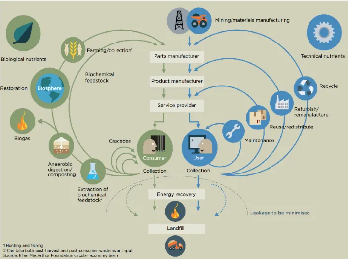 Figure 2.5 Schéma de l’économie circulaire (tiré de : Ellen MacArthur Foundation, 2013a, p
