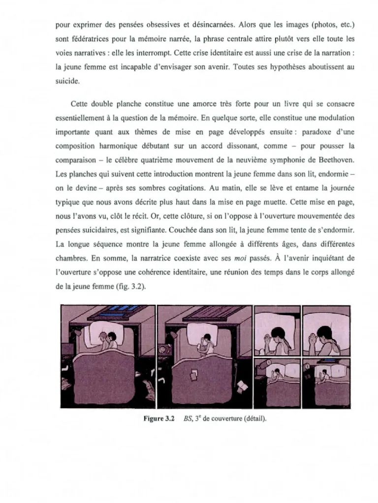 Figure  3.2  BS,  3 • de  couverture (détail). 