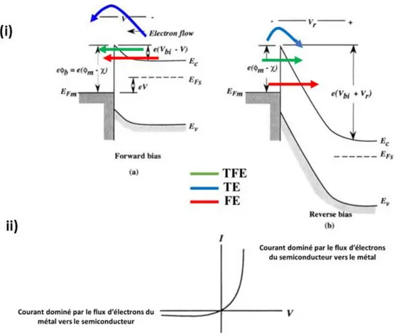 Figure 2.19: i) Schéma descriptif illustrant les mécanismes de transport au niveau de la barrière  