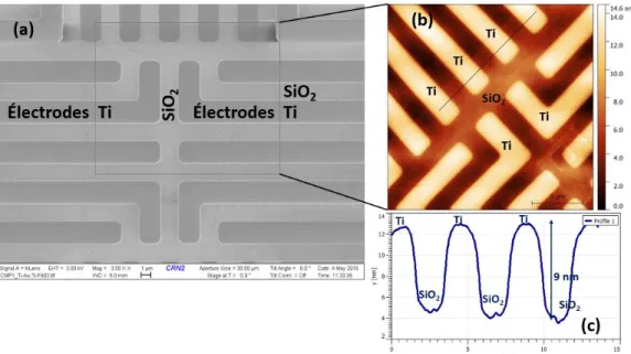 Figure 3.12 : État des échantillons après CMP du titane. (a) Image SEM des microstructures planarisées dans  l’oxyde