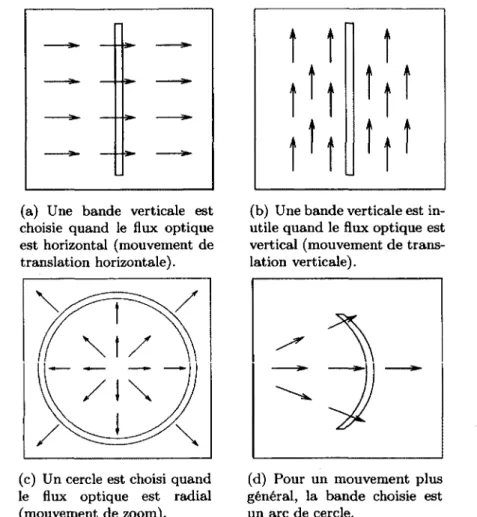 Figure  1.11  -  Forme des bandes en fonction de la direction du flux optique.  Images tirées  de  Rebière  [20].