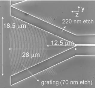 Figure 2.20 - Photo prise avec un MEB d’un coupleur avec réseau de diffraction focalisant 1D