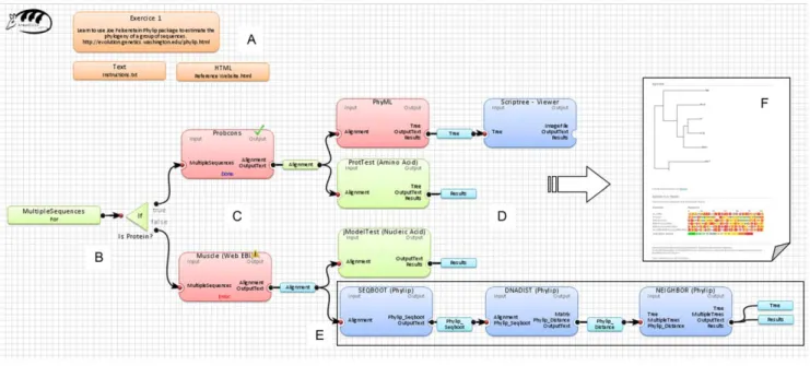 Figure 3. An example of a bioinformatics solution created with Armadillo. Panel (A) presents available comments and support files (available in the text and HTML formats)