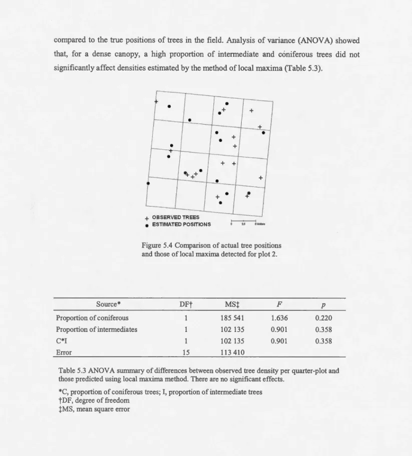 Figure  5.4  Comparison of actual  tree positions  and those of  local maxima detected for plot 2