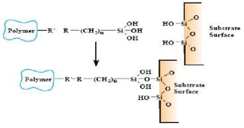 Figure II.1  :  Mécanisme de couplage polymère/charge par l’intermédiaire d’un organosilane  [Ros93]