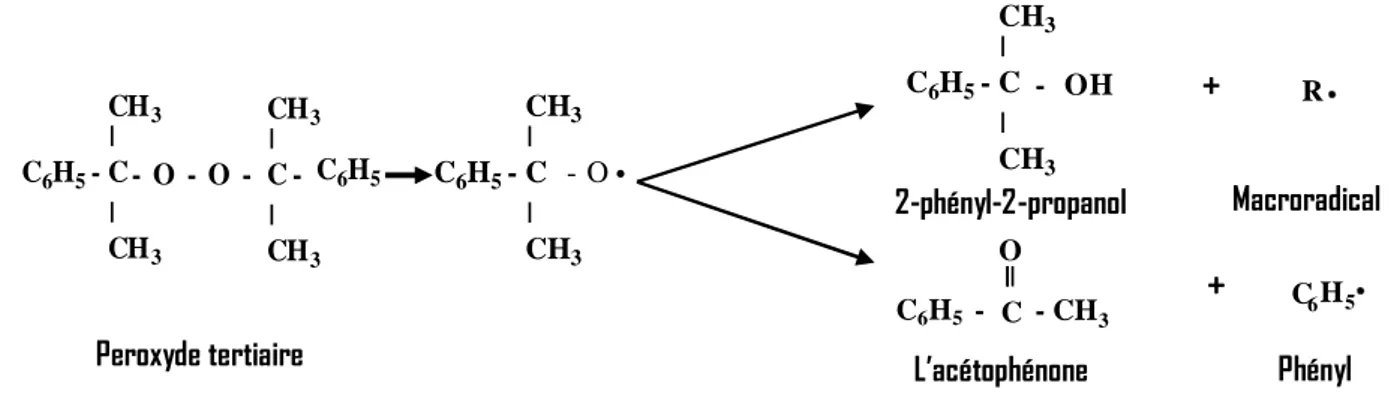 Figure IV.1  : Principales voies de décomposition du peroxyde de dicumyle  [Ryu92] 