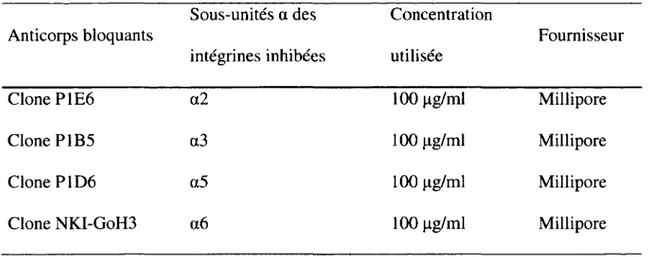 Tableau 1. Anticorps bloquants utilisés 