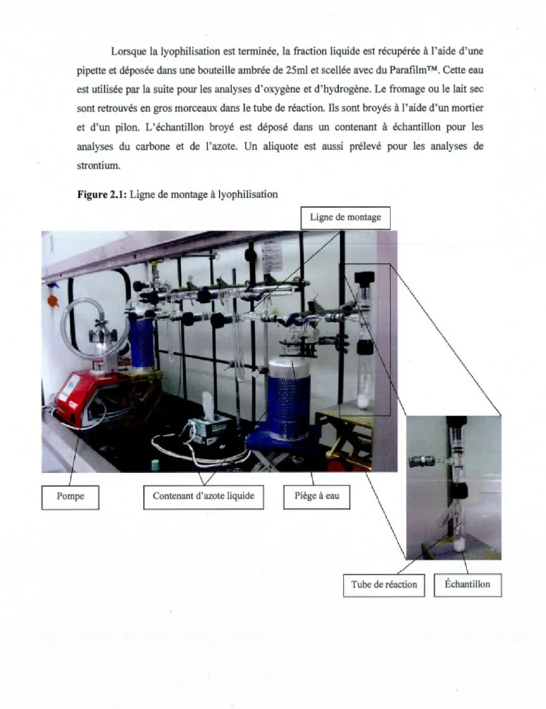 Figure 2.1:  Ligne de montage à lyophilisation 