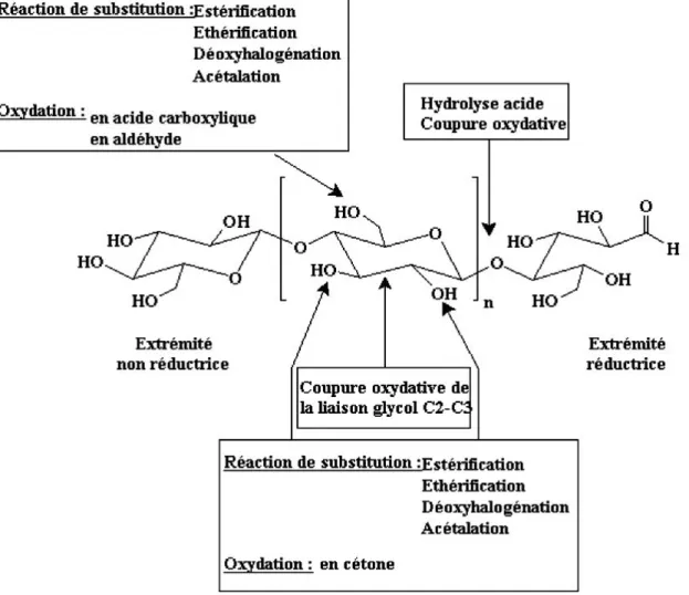 Figure 14. Modifications chimiques les plus rencontrées en relation avec la structure du  polymère [72]