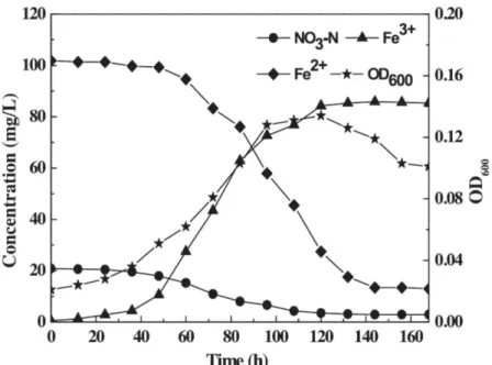 Figure 17: Évolution de N-NO 3 - , OD, Fe 2+ , Fe 2+  par Pseudomonas sp. SZF15   (Su et al., 2015) 