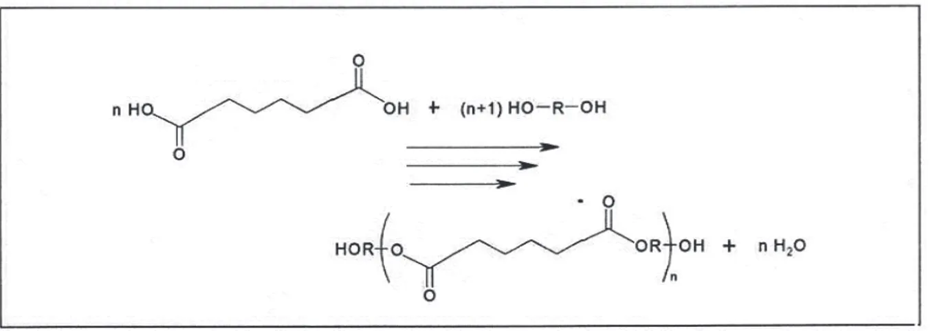Figure I.24. Réaction d'estérification d'un acide avec un excès contrôlé de diol. [DUR02]   