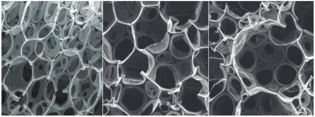 Figure III.7. Micrographe SEM de mousse souple de polyuréthane chargé de carbonate à des  concentrations de 9, 15 et 21% (grossissement de 50x)
