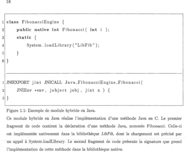 Figure  1.1 : Exemple  de  module hybride en  Java. 