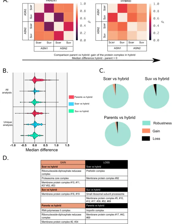 Figure 4. The vast majority of proteins complexes detected with the SEC-PCP-SILAC method  show robustness after hybridization