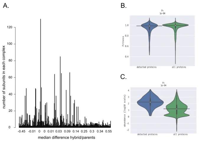 Figure 5. Several features might explain the general robustness of protein complexes. 