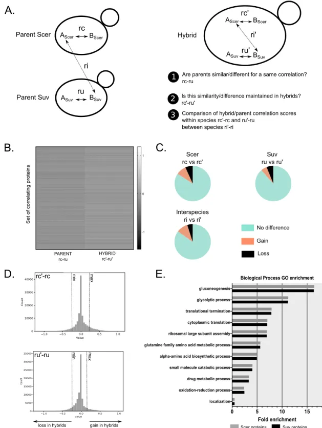 Figure 6. Analysis of correlation scores allows detection of differences between hybrids and  parents in specific pathways