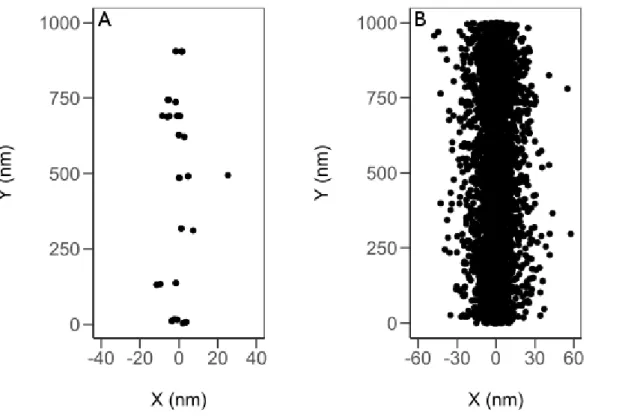 Figure  1.2: Spatial  location  of  radiolytic  species  post-energy  deposition  from  the  Monte  Carlo  track  simulation  of  300  MeV  protons  (A)  and 150  keV  protons (B)  (LET~  0.4  and  70  keV/µm)  incident  on  liquid water at 25 °C