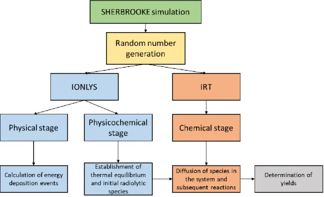 Figure 2.1: Schematic for the basic operation of the SHERBROOKE code. 