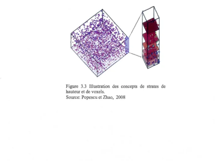 Figure  3.3  Illustration  des  concepts  de  strates  de  hauteur et de voxels . 