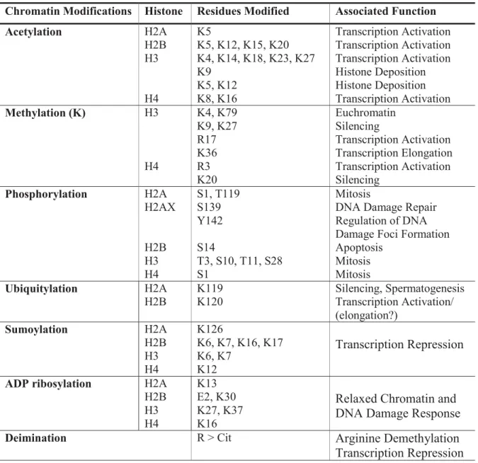 Table  1.1  Different  classes  of  modifications  identified  on  histones  and  their  functions  (Adapted from (Sadri-Vakili and Cha, 2006)