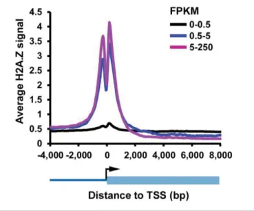 Figure 2.S1 Average H2A.Z ChIP-seq signal at TSS. Average H2A.Z ChIP-seq signal at  TSS of non-overlapping genes grouped by FPKM values (FPKM 0-0.5 n=19,113, FPKM  0.5-5 n=1,637, FPKM 0.5-5-20.5-50 n=3,290)