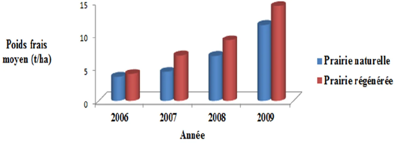 Figure 29  : La productivité en biomasse fraiche en (t/ha) après pâturage dans les deux  prairies de 2006-2009 