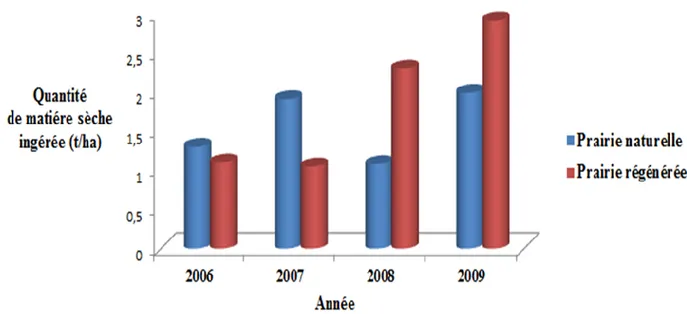 Figure 32 : Quantité de matière sèche ingérée au niveau des deux prairies au cours des  années d’expérimentation (2006-2009) 