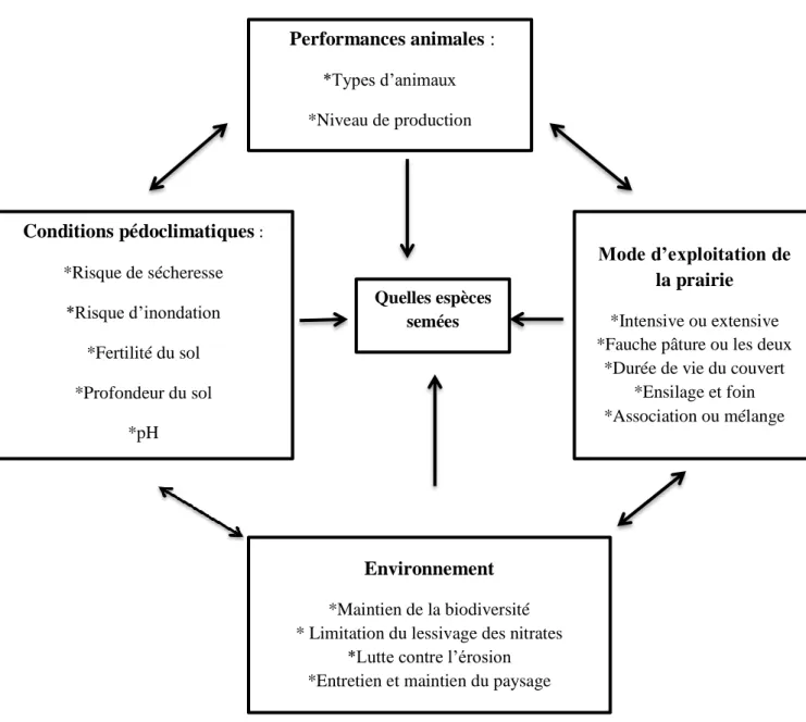 Figure 11 : Principales questions à se poser pour déterminer les espèces et les variétés  adaptées pour le semis d'une prairie (Crémer, 2015) 