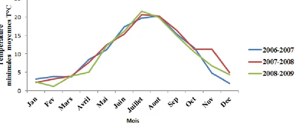Figure 23 : Les températures minimales moyennes mensuelles de la période  d’expérimentation (2006-2009) 