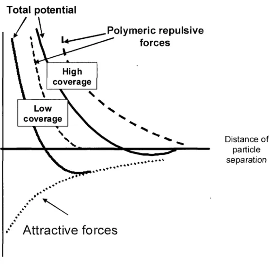 Figure 2.7 Schematic diagram of interaction potential versus separation distance incase of the  polymeric effect