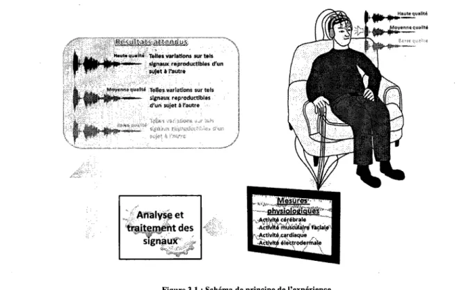 Figure 3.1 : Schema de principe de l'experience 