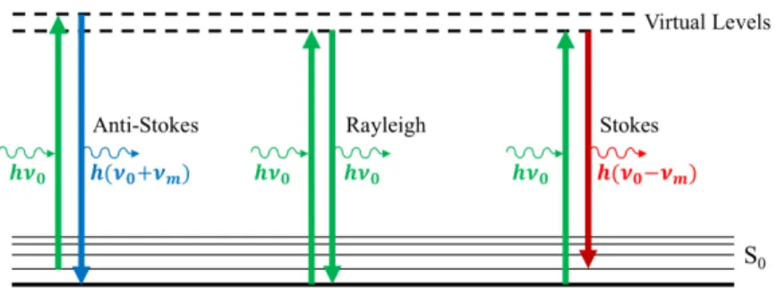 Figure 1.9: Jablonski diagram displaying elastic Raleigh scattering and both inelastic Stokes and anti-Stokes scattering