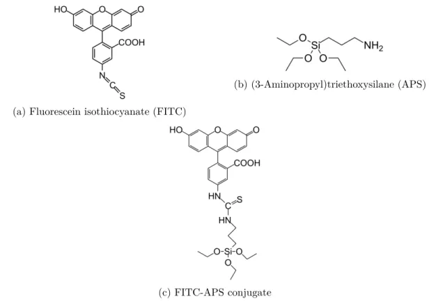 Figure 2.4: Chemical structures of FITC, APS and the FITC-APS conjugate, respectively.