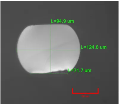 Figure 3.1: Dimensioned SEM image of a cleaved tip of the 125 µm DoubleD fiber.