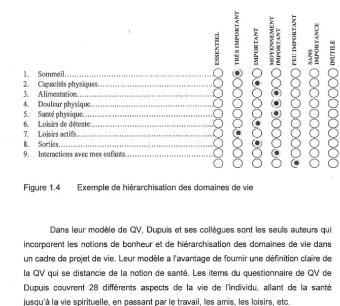 Figure  1.4  Exemple de hiérarchisation des domaines de vie 