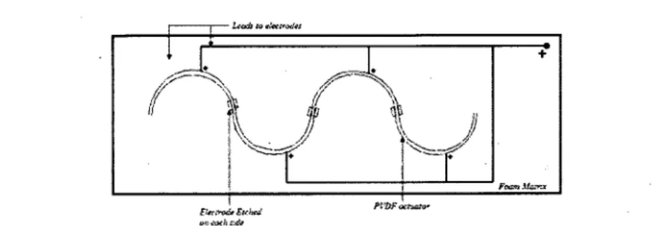 Figure 1.1 PVDF actuator configuration in Parallel [Fuller et ai, 1996]