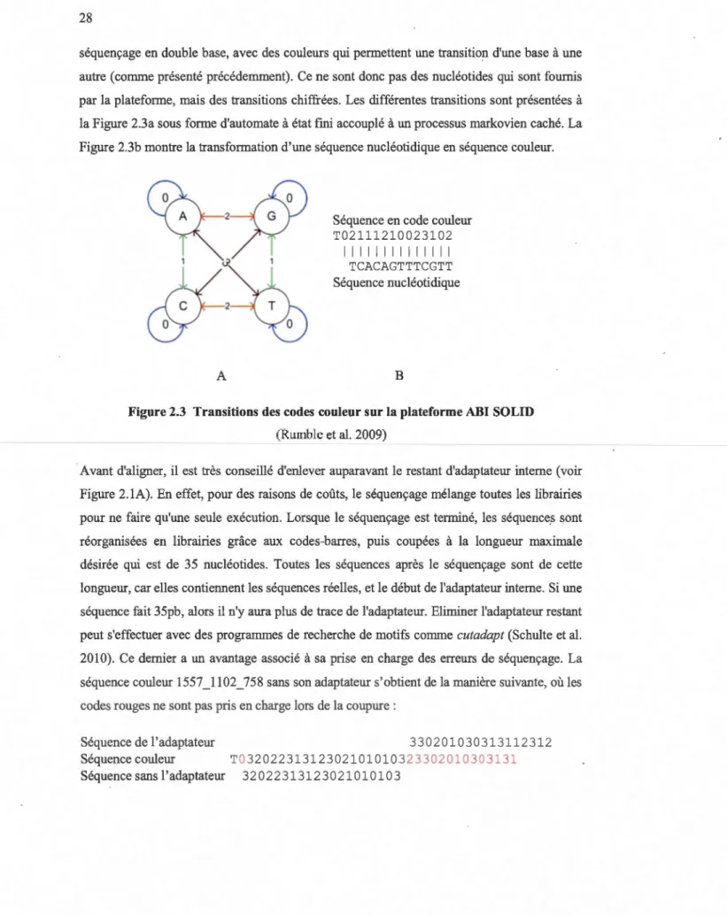 Figure 2.3  Transitions des codes  couleur sur la plateforme ABI  SOLID  (Rumble et al