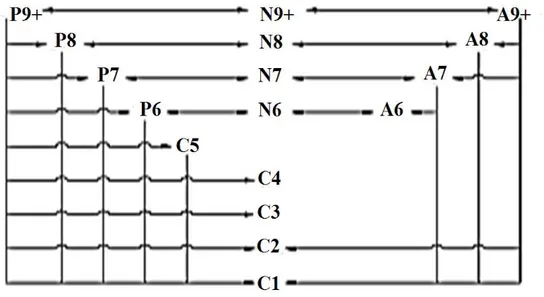 Figure I-1b: Exemples de réseaux réactionnels de reformage catalytique du naphta. 