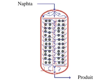 Figure I-5 : Schéma d’un réacteur membranaire à lit fixe avec écoulement  radial [84]