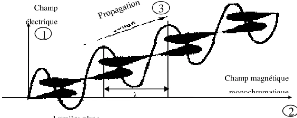 Figure II.1: Schéma d’une onde électromagnétique plane montrant les composantes du  champ électrique (E) du champ magnétique (H), ainsi que la longueur d’onde (  ) [24]