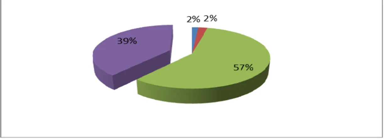 Figure 4 – Levels of Reflection in Reflection-on-Action Journals   in Percentages 