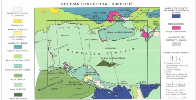 Fig II.4. Schéma structural simplifié d’après la carte géologique d’Ain Roua feuille n°69, échelle 1/50 000.