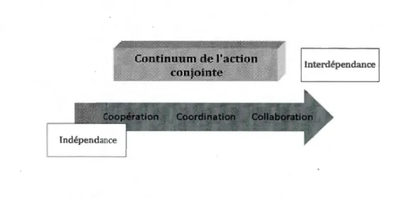 Figure 1.2  Continuum de 1' action conjointe (Intriligator et Goldman,  1989 :  132) 